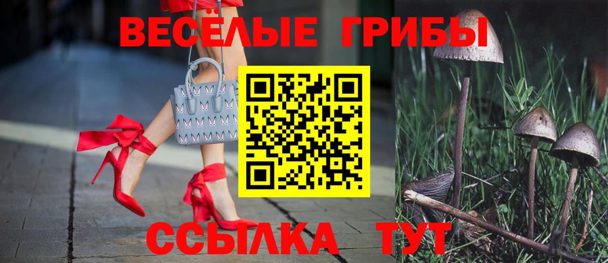 Псилоцибиновые грибы ЛСД Шахты