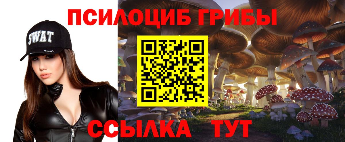 Псилоцибиновые грибы Psilocybine cubensis  Вход с VPN  Шахты 